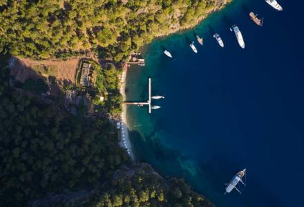 Numarine Announced Partnership With the Yazz Collective Resort