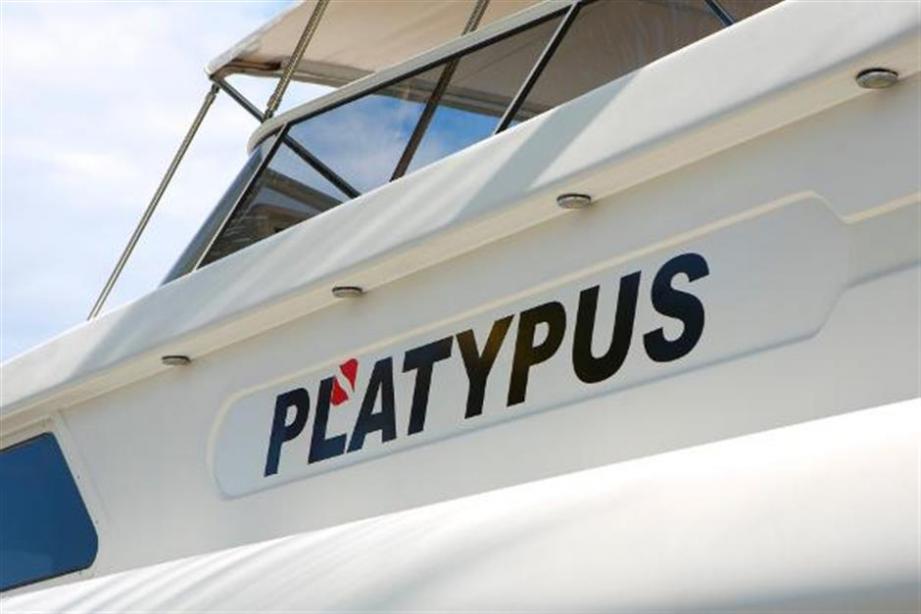yacht Platypus