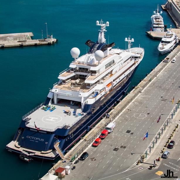 Octopus Spotted In The French Riviera Yacht Harbour