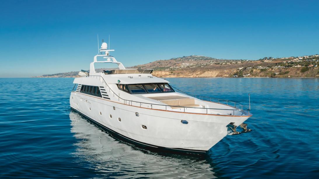 yacht Money Cat